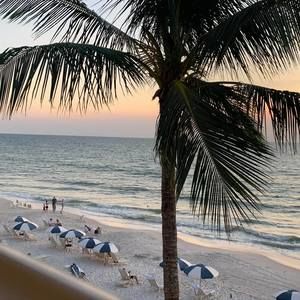 Meet your Posher, Lucas